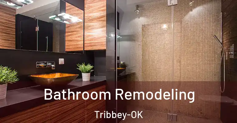 inner Bathroom imggen Bathroom Remodeling Tribbey-OK