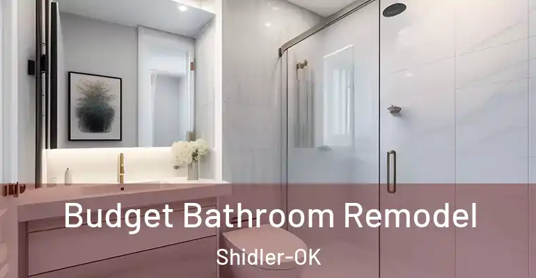 inner Bathroom imggen Budget Bathroom Remodel Shidler-OK