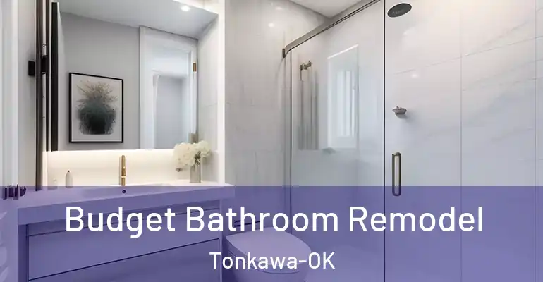 inner Bathroom imggen Budget Bathroom Remodel Tonkawa-OK