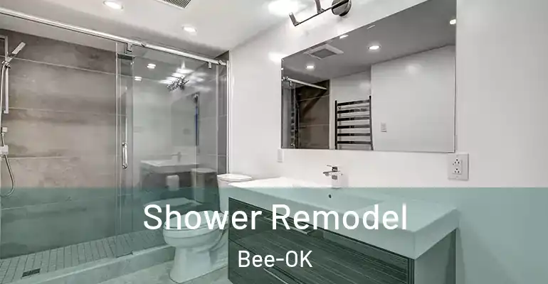 inner Bathroom imggen Shower Remodel Bee-OK