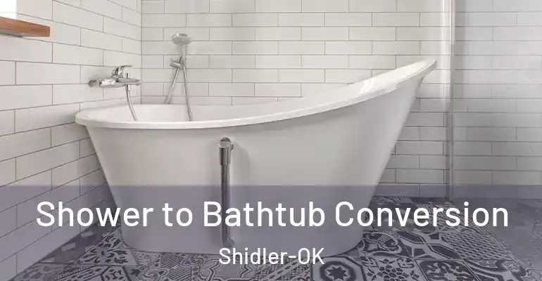inner Bathroom imggen Shower to Bathtub Conversion Shidler-OK