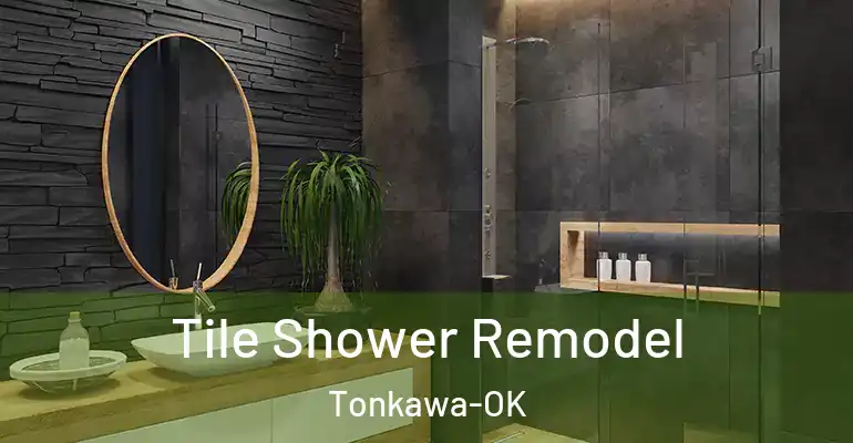 inner Bathroom imggen Tile Shower Remodel Tonkawa-OK