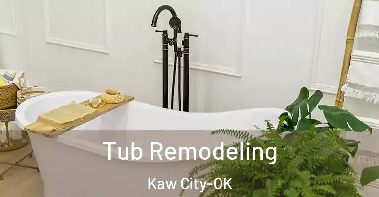 inner Bathroom imggen Tub Remodeling Kaw City-OK