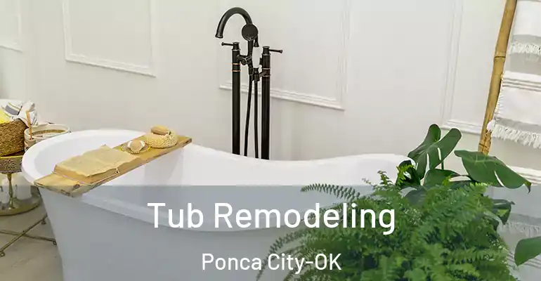 inner Bathroom imggen Tub Remodeling Ponca City-OK