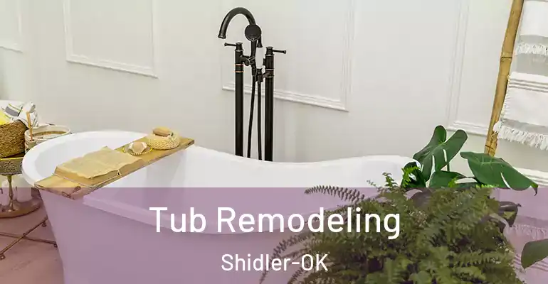 inner Bathroom imggen Tub Remodeling Shidler-OK