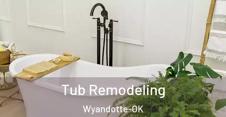 inner Bathroom imggen Tub Remodeling Wyandotte-OK