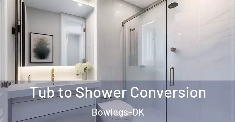 inner Bathroom imggen Tub to Shower Conversion Bowlegs-OK