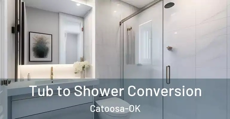 inner Bathroom imggen Tub to Shower Conversion Catoosa-OK