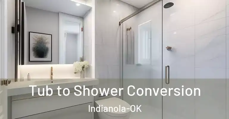 inner Bathroom imggen Tub to Shower Conversion Indianola-OK