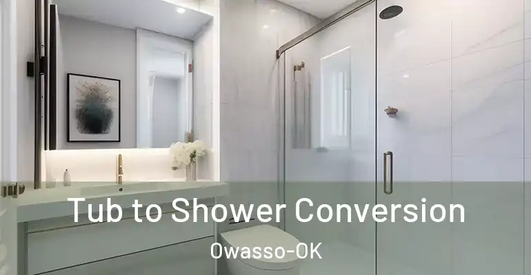 inner Bathroom imggen Tub to Shower Conversion Owasso-OK