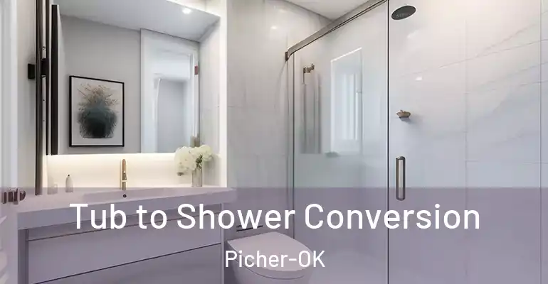 inner Bathroom imggen Tub to Shower Conversion Picher-OK