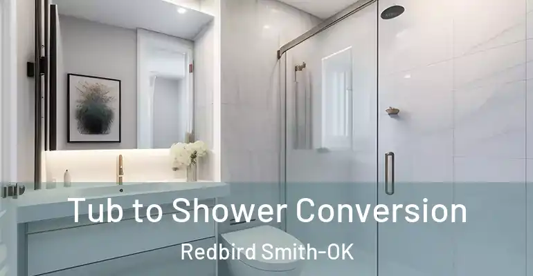 inner Bathroom imggen Tub to Shower Conversion Redbird Smith-OK