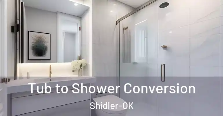 inner Bathroom imggen Tub to Shower Conversion Shidler-OK