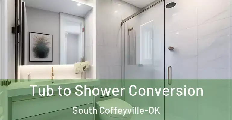inner Bathroom imggen Tub to Shower Conversion South Coffeyville-OK