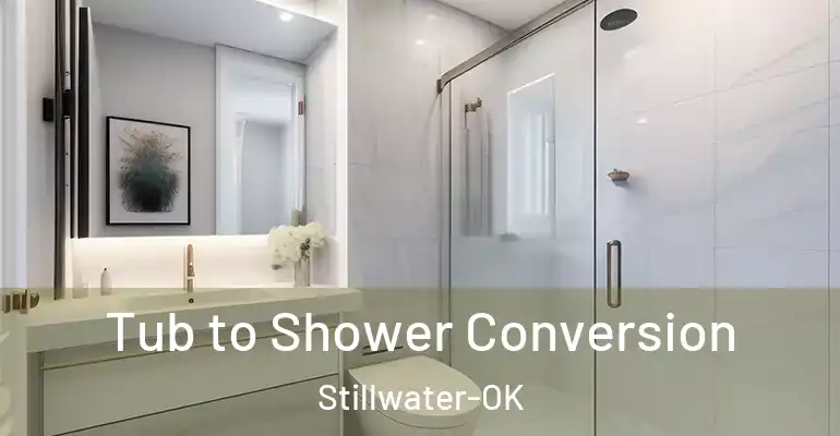 inner Bathroom imggen Tub to Shower Conversion Stillwater-OK