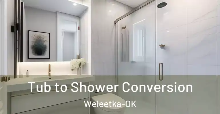 inner Bathroom imggen Tub to Shower Conversion Weleetka-OK